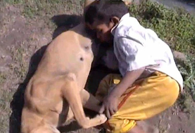 The boy who lost his parents since childhood was so hungry that he had to drink dog's milk (Video)
