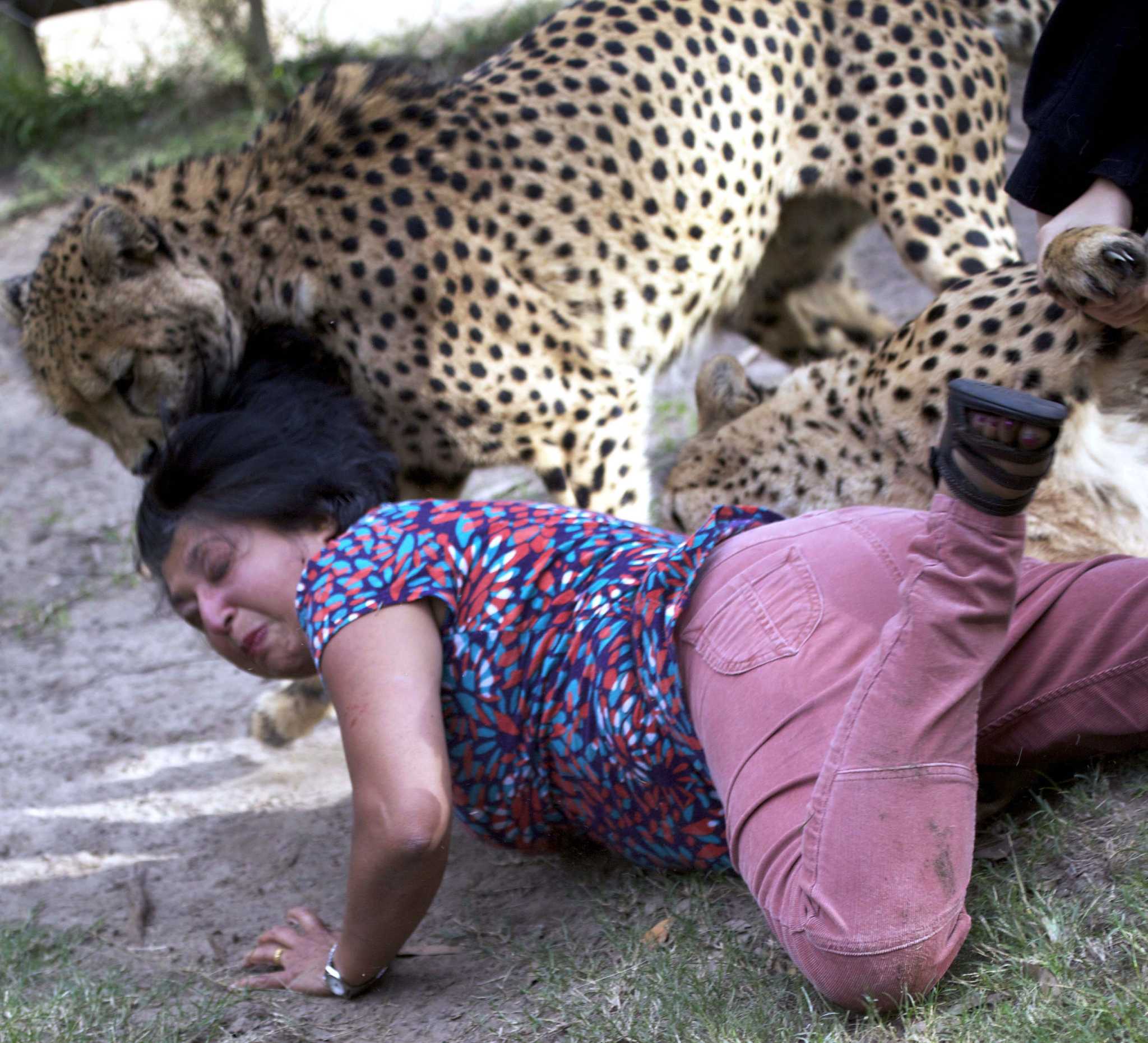 Woman terrified as leopards launch surprise attack from behind.n - Malise
